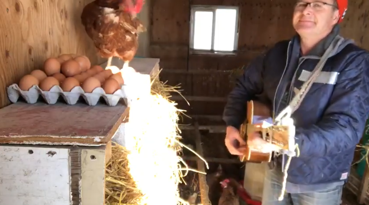 International recognition for grandpa singing with chickens CHVNRadio